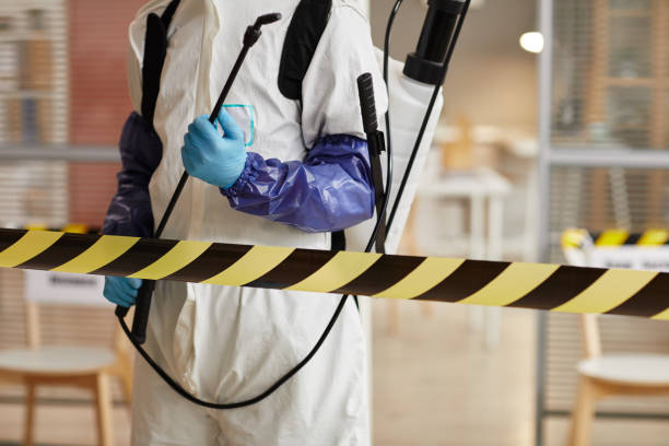 Professional Odor Removal technician working in Auburn, IL