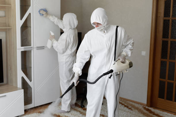 24/7 Emergency Odor Removal experts in Auburn, IL
