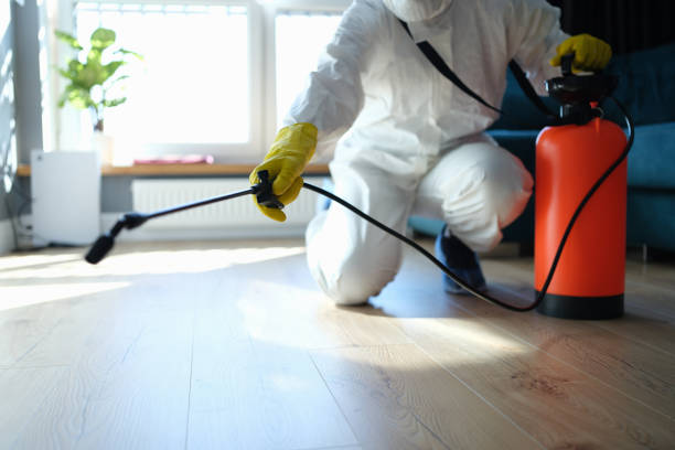 Reliable Odor Removal contractor in Auburn, IL by Trauma Clean Pros